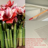 Tkanina lniano-bawe�niana szaro-kremowa