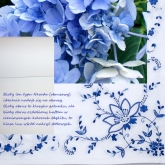 Len obrusowy bia�y