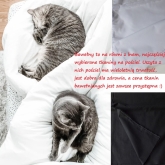 Bawe�ny po�cielowe